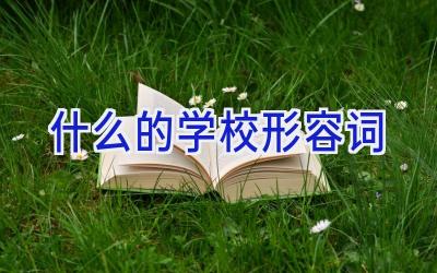 什么的学校形容词插图
