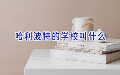 哈利波特的学校叫什么插图