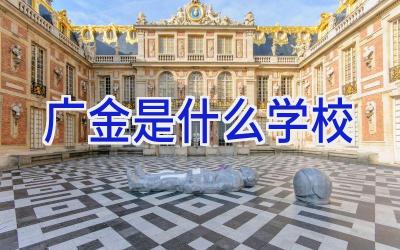 广金是什么学校插图