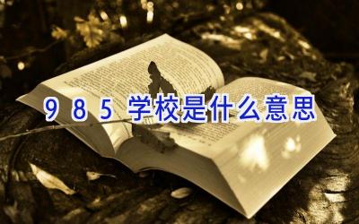 985学校是什么意思
