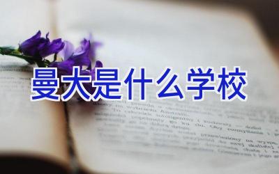 曼大是什么学校插图