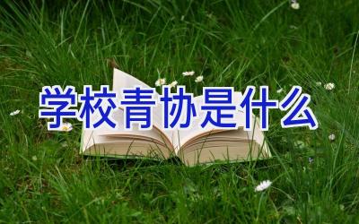 学校青协是什么插图