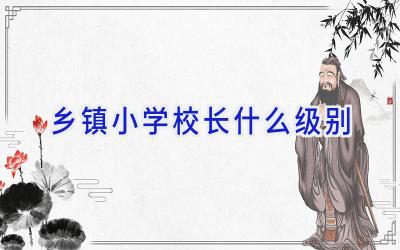 乡镇小学校长什么级别插图