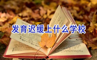 发育迟缓上什么学校插图