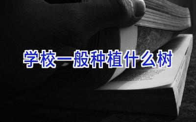 学校一般种植什么树插图