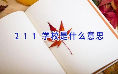 211学校是什么意思插图
