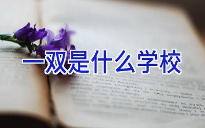 一双是什么学校插图