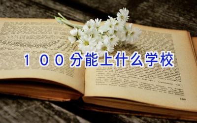 100分能上什么学校插图