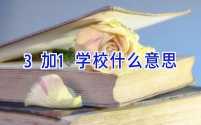 3加1学校什么意思插图