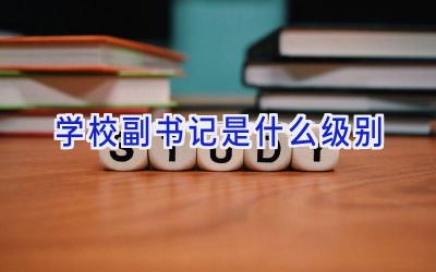 学校副书记是什么级别插图