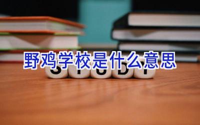 野鸡学校是什么意思插图