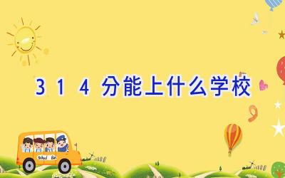 314分能上什么学校插图