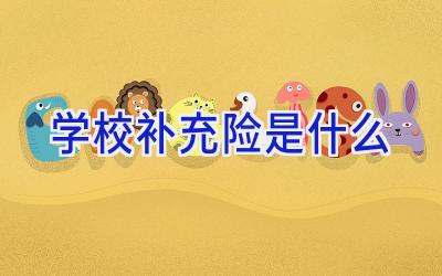 学校补充险是什么