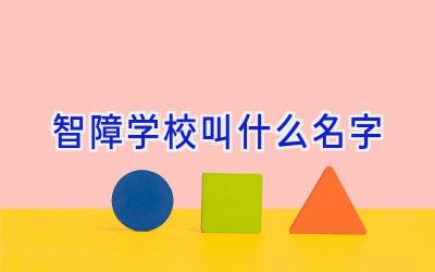 智障学校叫什么名字插图