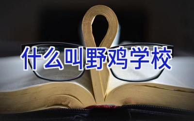 什么叫野鸡学校插图