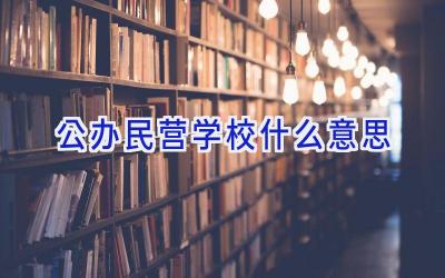 公办民营学校什么意思插图