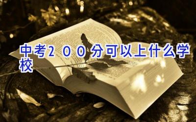 中考200分可以上什么学校插图