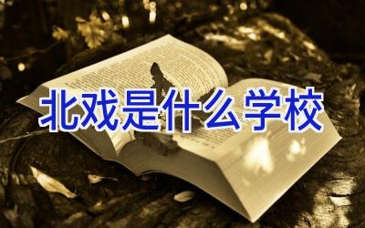 北戏是什么学校插图