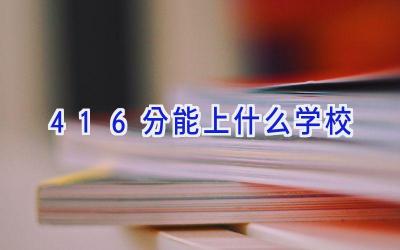 416分能上什么学校插图