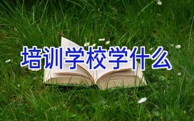 培训学校学什么插图