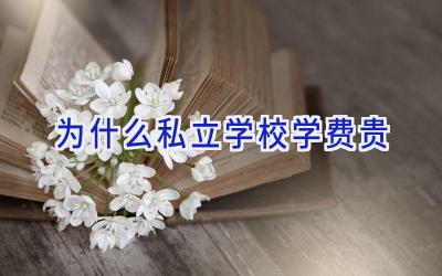 为什么私立学校学费贵插图