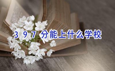 397分能上什么学校插图