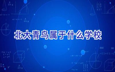 北大青鸟属于什么学校插图