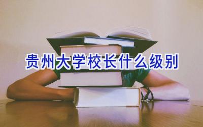 贵州大学校长什么级别插图