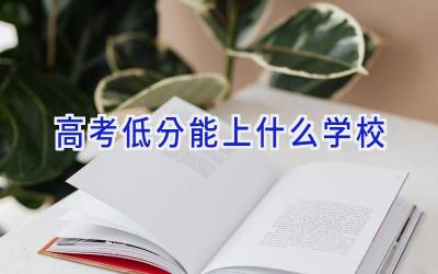 高考低分能上什么学校插图