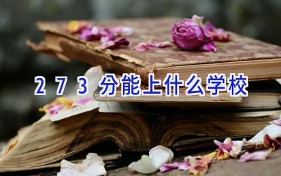 273分能上什么学校插图