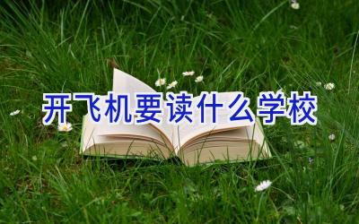 开飞机要读什么学校插图