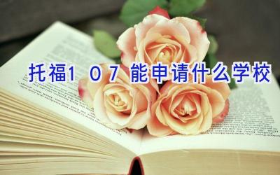 托福107能申请什么学校插图
