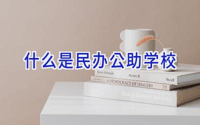 什么是民办公助学校插图