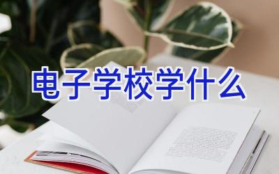 电子学校学什么插图