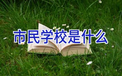 市民学校是什么插图