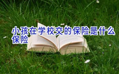 小孩在学校交的保险是什么保险插图