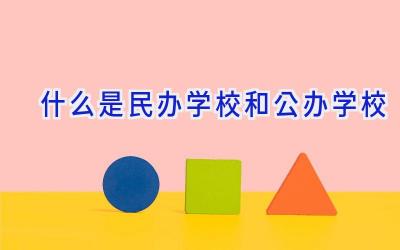 什么是民办学校和公办学校插图
