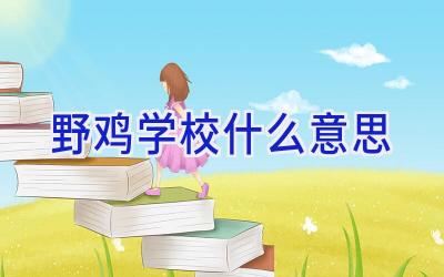野鸡学校什么意思插图