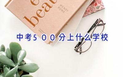 中考500分上什么学校插图