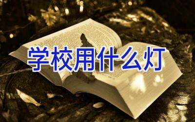 学校用什么灯插图