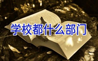 学校都什么部门插图