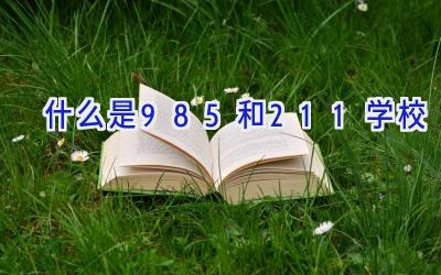 什么是985和211学校插图