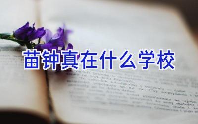 苗钟真在什么学校插图