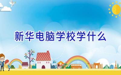 新华电脑学校学什么插图