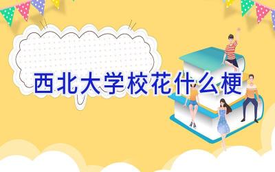 西北大学校花 什么梗插图
