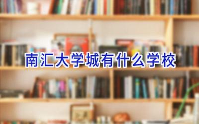 南汇大学城有什么学校插图