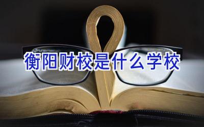 衡阳财校是什么学校插图