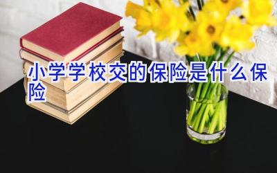 小学学校交的保险是什么保险插图