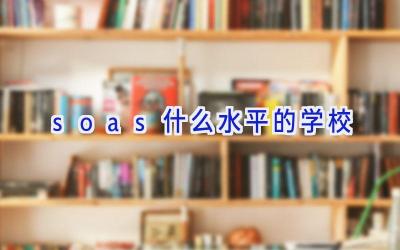 soas什么水平的学校插图