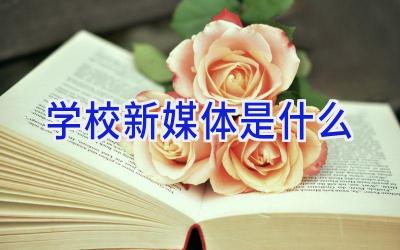 学校新媒体是什么